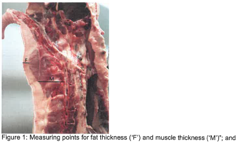 R3450 Fig 1 Measuring points