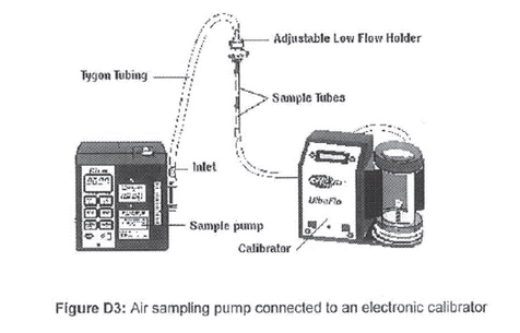 N419 Ann E (3)