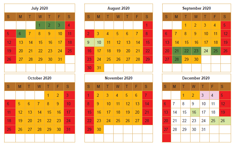 N6 School Calendar 2020 (2)